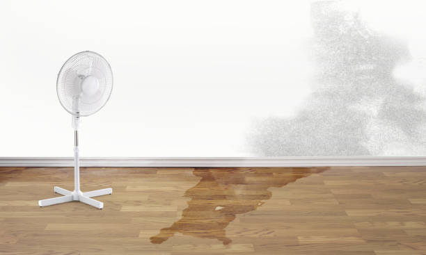Best Water damage restoration specialists  in Sudan, TX