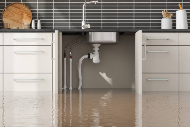Best Water damage restoration near me  in Sudan, TX